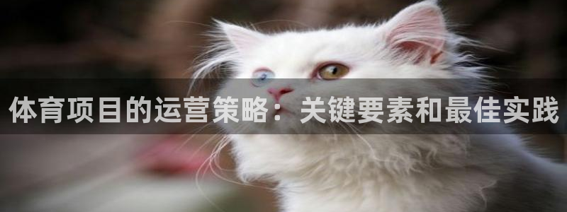 星欧娱乐法711.112怎么扣钱