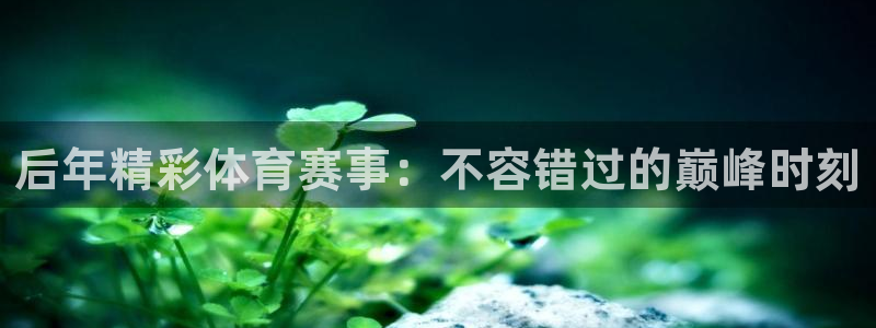 星欧娱乐公司创始人背景故事是什么