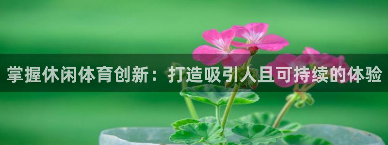 澳星国际娱乐集团