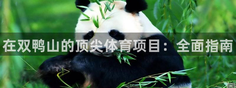星欧娱乐平台测速线路设置