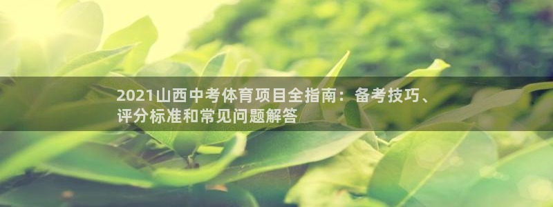 星欧娱乐公司创始人背景故事简介