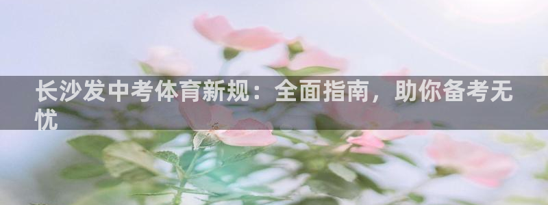 星欧娱乐属于什么档次的公司