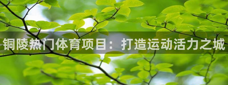 澳星国际娱乐集团