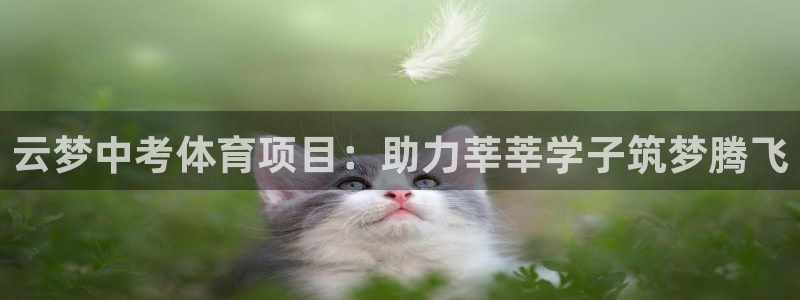 星欧娱乐退款电话人工服务