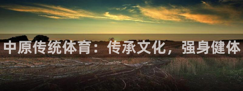星欧娱乐挂机教程