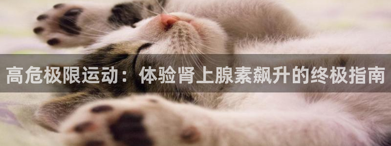 星欧娱乐载711.112使用教程详解