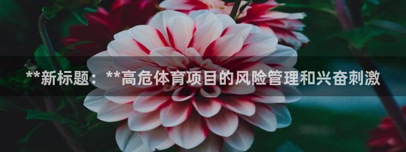 星欧娱乐公司地址
