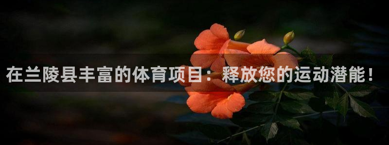 星欧娱乐方7O777