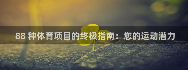 星奥娱乐集团