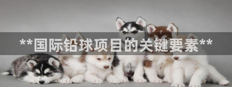 星欧娱乐是正规平台吗知乎推荐