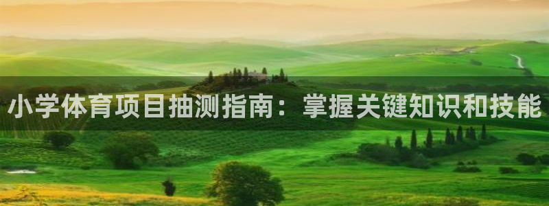 星欧娱乐扣款时间查询方法