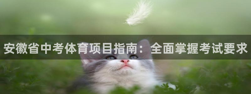 星欧娱乐最建议买的三个产品有哪些