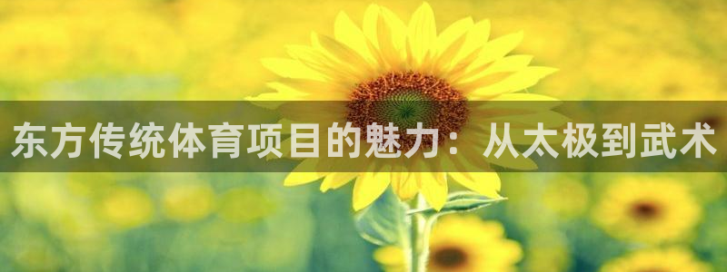 星欧娱乐扣款时间查询方法怎么查