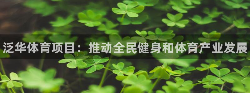 星欧娱乐最建议买的三个产品是什么呢