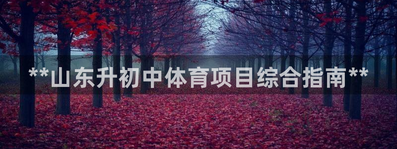 星欧娱乐属于什么档次的网站啊