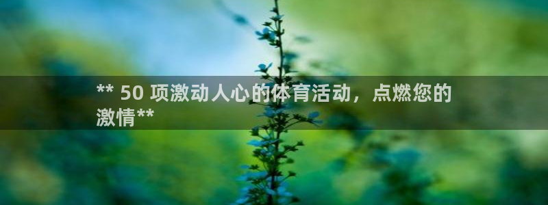 星欧娱乐是正规品牌吗