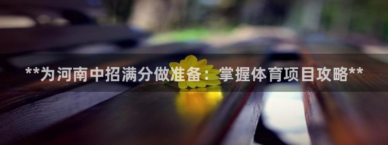 星欧娱乐的官方版本更新内容有哪些