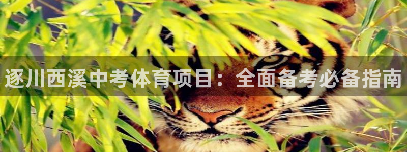 星欧娱乐工711.112怎么没有了