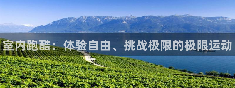 星欧娱乐扣款时间查询方法怎么查