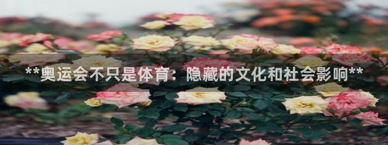 星欧娱乐官网下载安卓