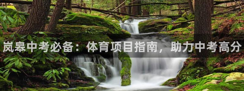 星欧娱乐是正规品牌吗