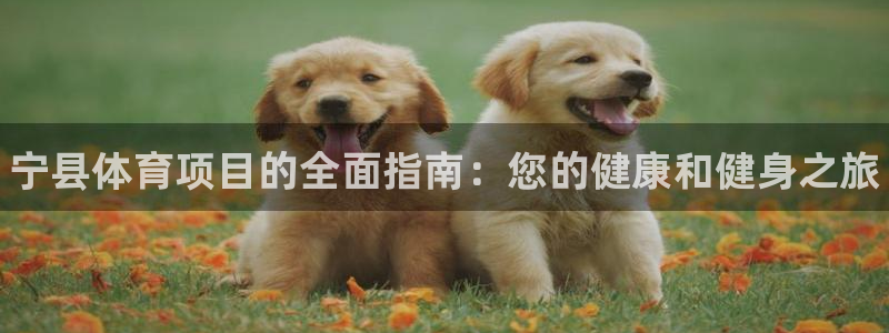 星欧娱乐彩票软件下载安卓