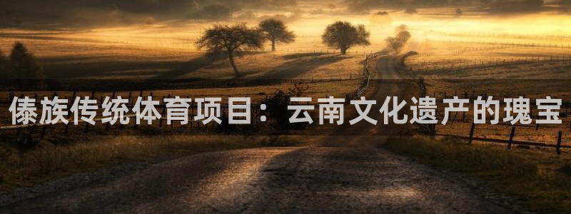 星欧娱乐平台方7O777