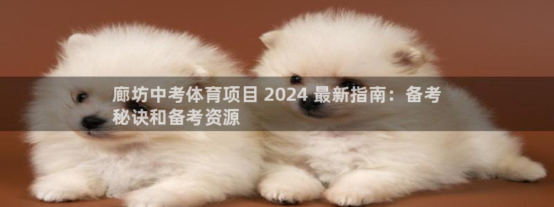 星欧娱乐的官方版本更新内容是什么