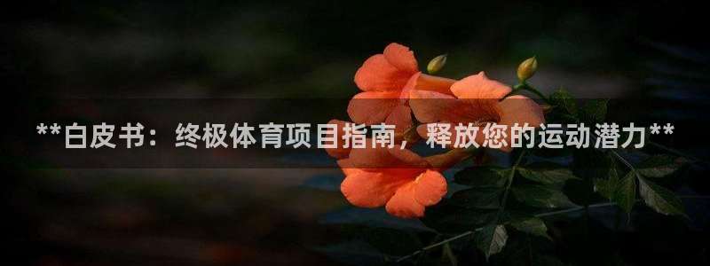 星欧娱乐属于什么档次的公司名称