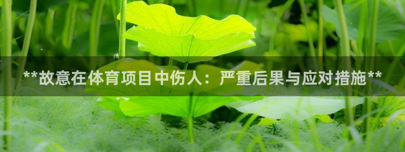 星娱乐文化传媒有限公司