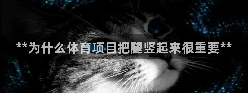 星娱乐文化传媒有限公司